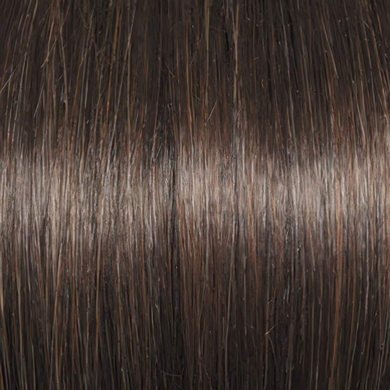 Eva Gabor Wig Color Dark Chocolate Mist
