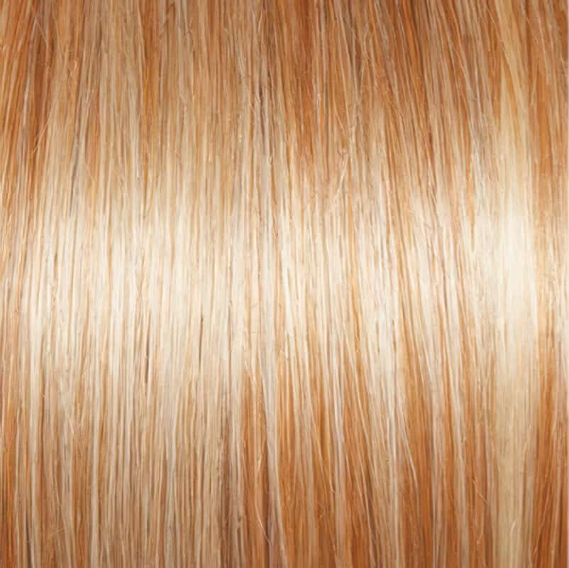 Eva Gabor Wig Color Dark Chocolate Mist