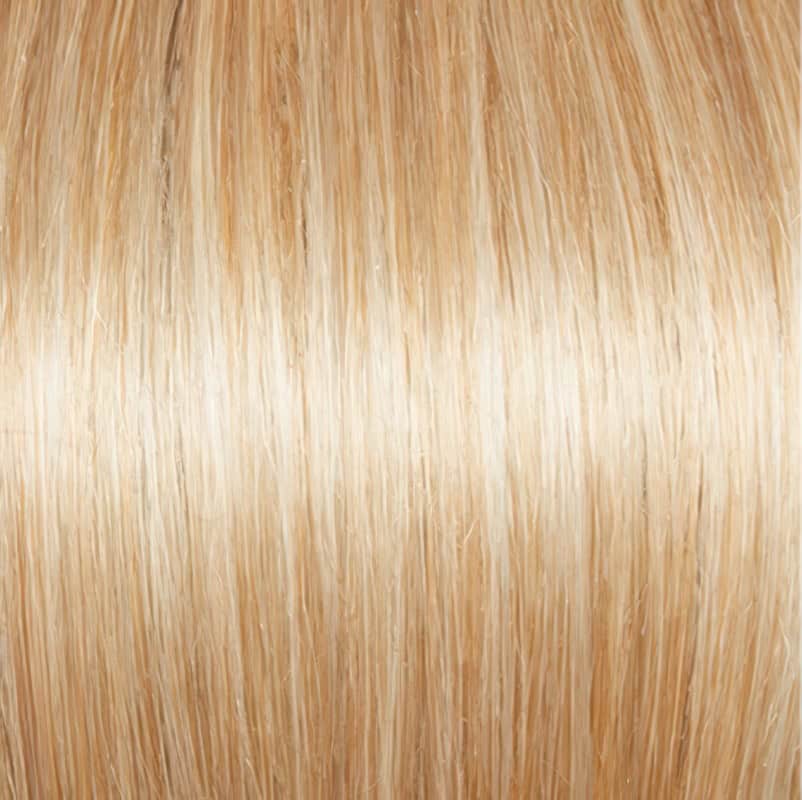 Eva Gabor Wig Color Dark Chocolate Mist