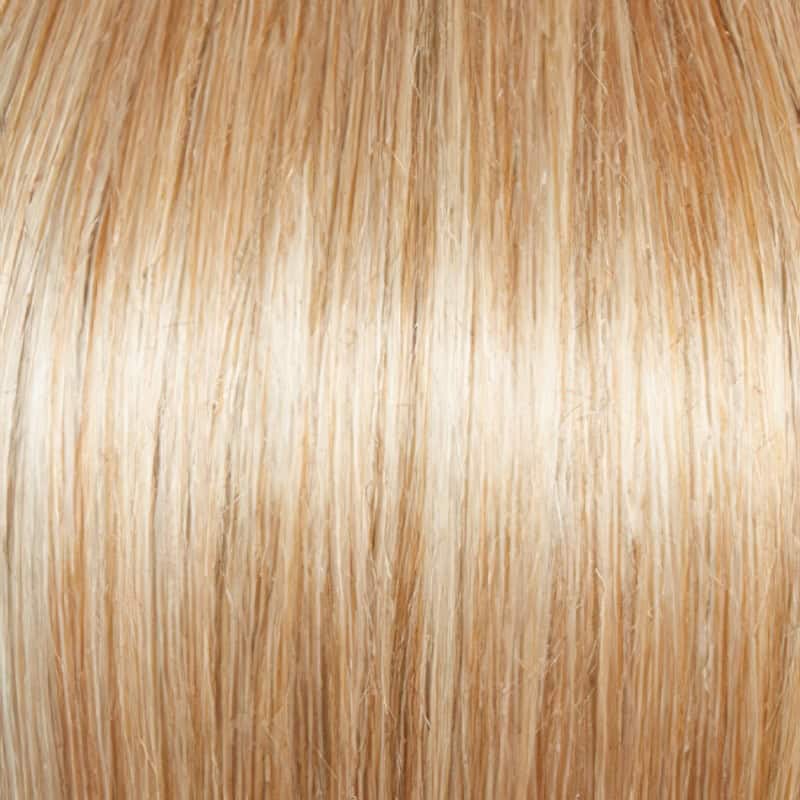 Eva Gabor Wig Color Dark Chocolate Mist
