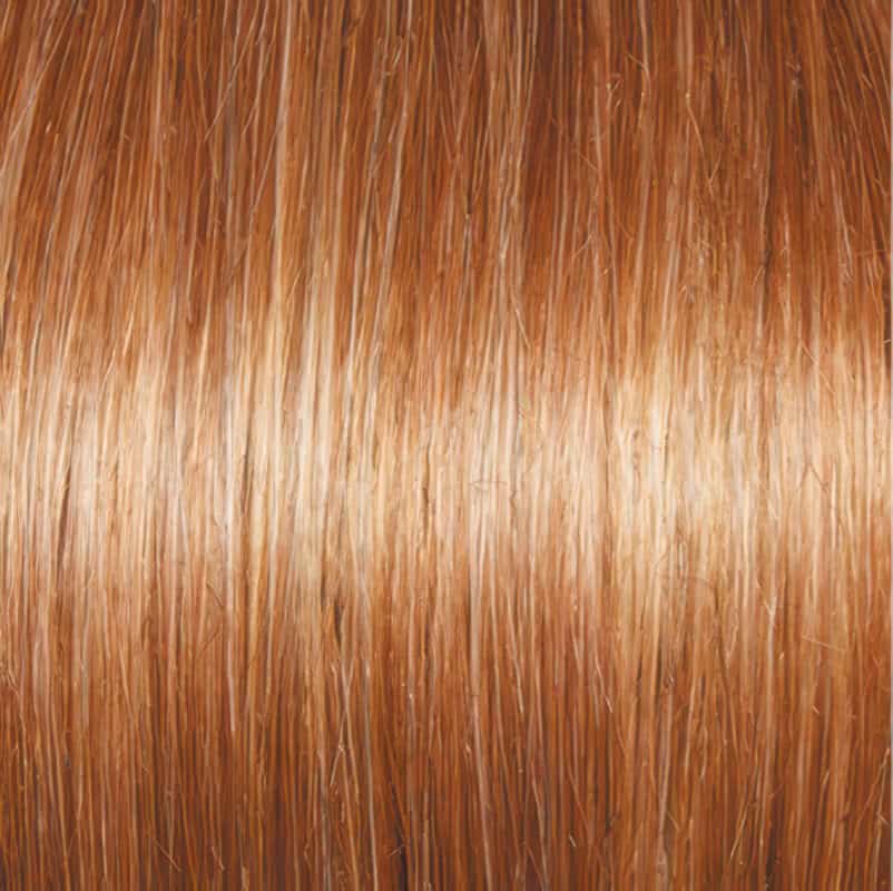 Eva Gabor Wig Color Dark Chocolate Mist