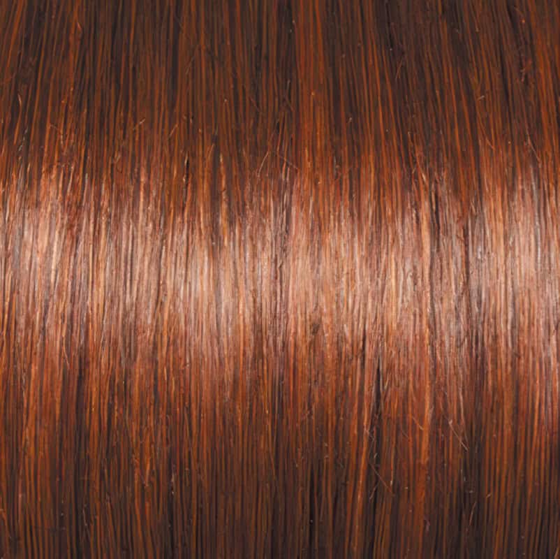 Eva Gabor Wig Color Dark Chocolate Mist