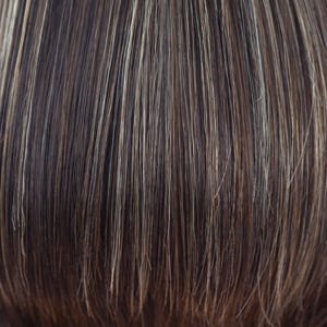 Eva Gabor Wig Color Dark Chocolate Mist