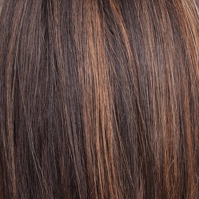 Eva Gabor Wig Color Dark Chocolate Mist