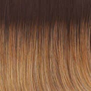 Eva Gabor Wig Color Dark Chocolate Mist