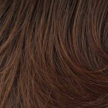 Eva Gabor Wig Color Dark Chocolate Mist