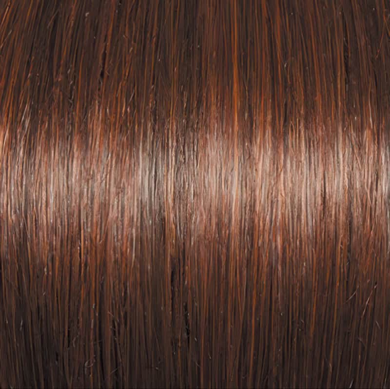 Eva Gabor Wig Color Dark Chocolate Mist