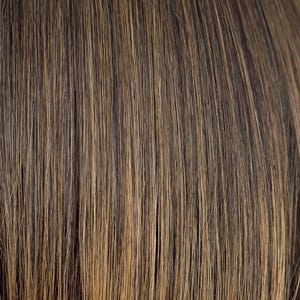 Eva Gabor Wig Color Dark Chocolate Mist