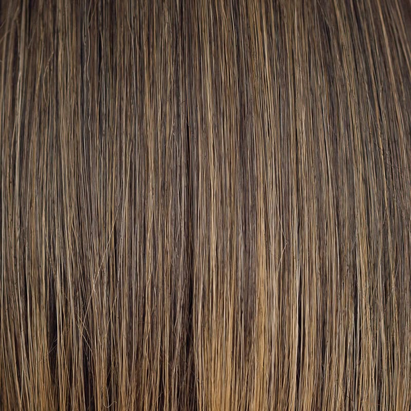 Eva Gabor Wig Color Dark Chocolate Mist