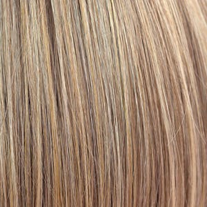 Eva Gabor Wig Color Dark Chocolate Mist