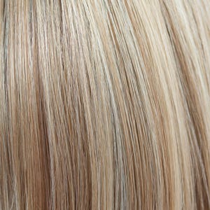 Eva Gabor Wig Color Dark Chocolate Mist