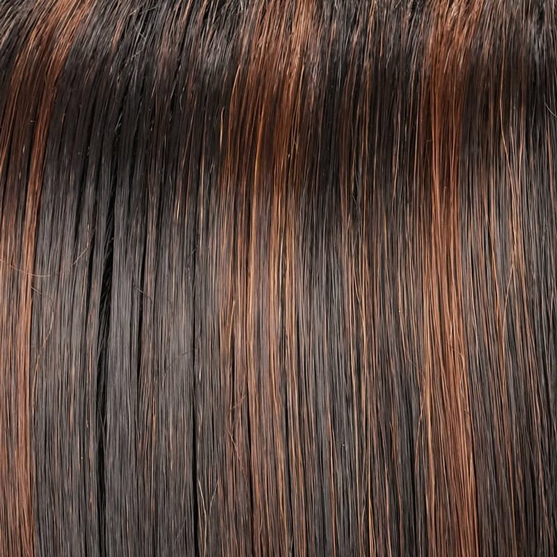 Eva Gabor Wig Color Dark Chocolate Mist