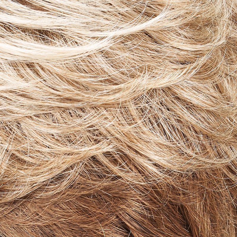 Eva Gabor Wig Color Dark Chocolate Mist