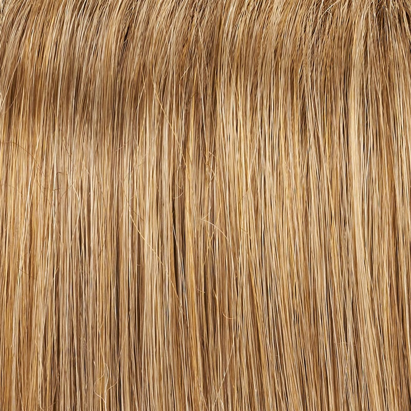 Eva Gabor Wig Color Dark Chocolate Mist