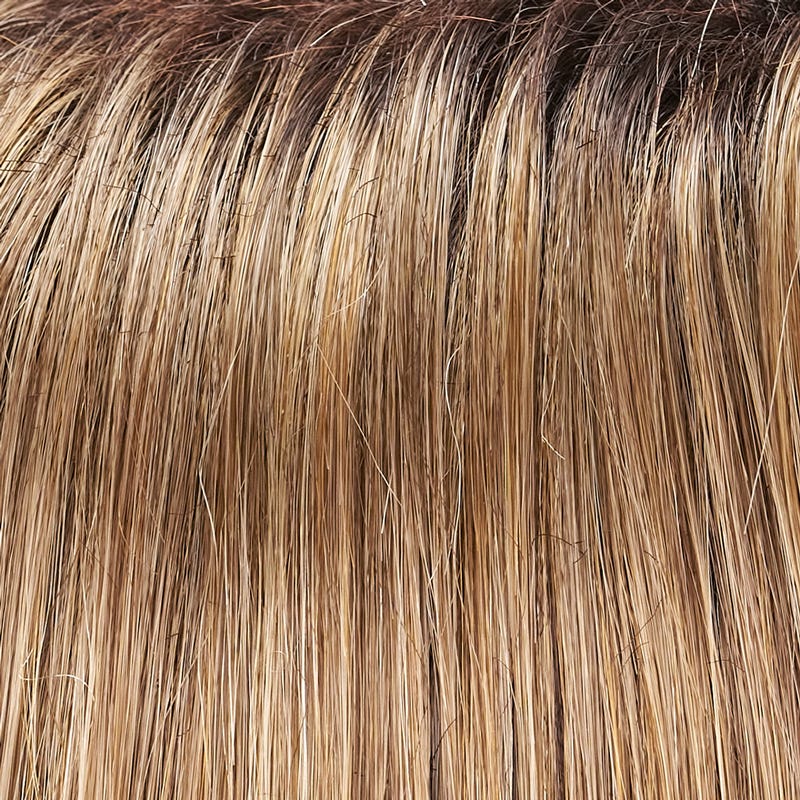 Eva Gabor Wig Color Dark Chocolate Mist