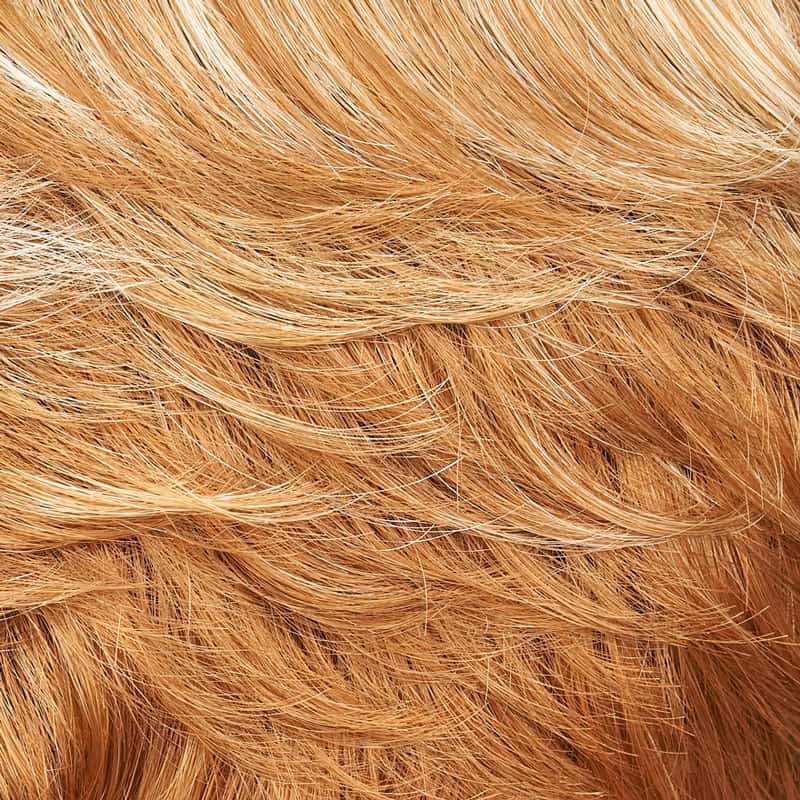 Eva Gabor Wig Color Dark Chocolate Mist