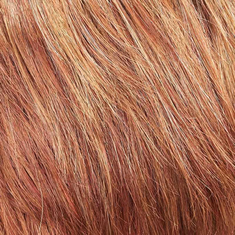 Eva Gabor Wig Color Dark Chocolate Mist