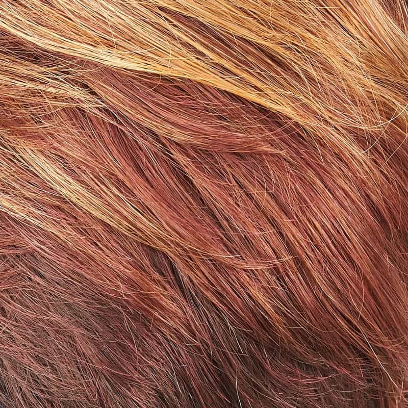 Eva Gabor Wig Color Dark Chocolate Mist