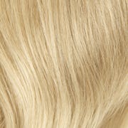 Eva Gabor Wig Color Dark Chocolate Mist
