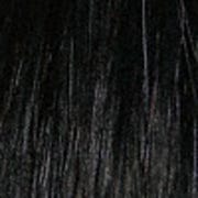Eva Gabor Wig Color Dark Chocolate Mist