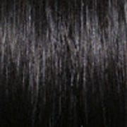 Eva Gabor Wig Color Dark Chocolate Mist