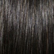 Eva Gabor Wig Color Dark Chocolate Mist