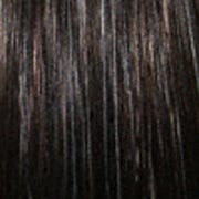 Eva Gabor Wig Color Dark Chocolate Mist