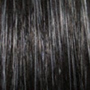 Eva Gabor Wig Color Dark Chocolate Mist