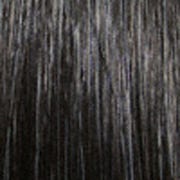 Eva Gabor Wig Color Dark Chocolate Mist