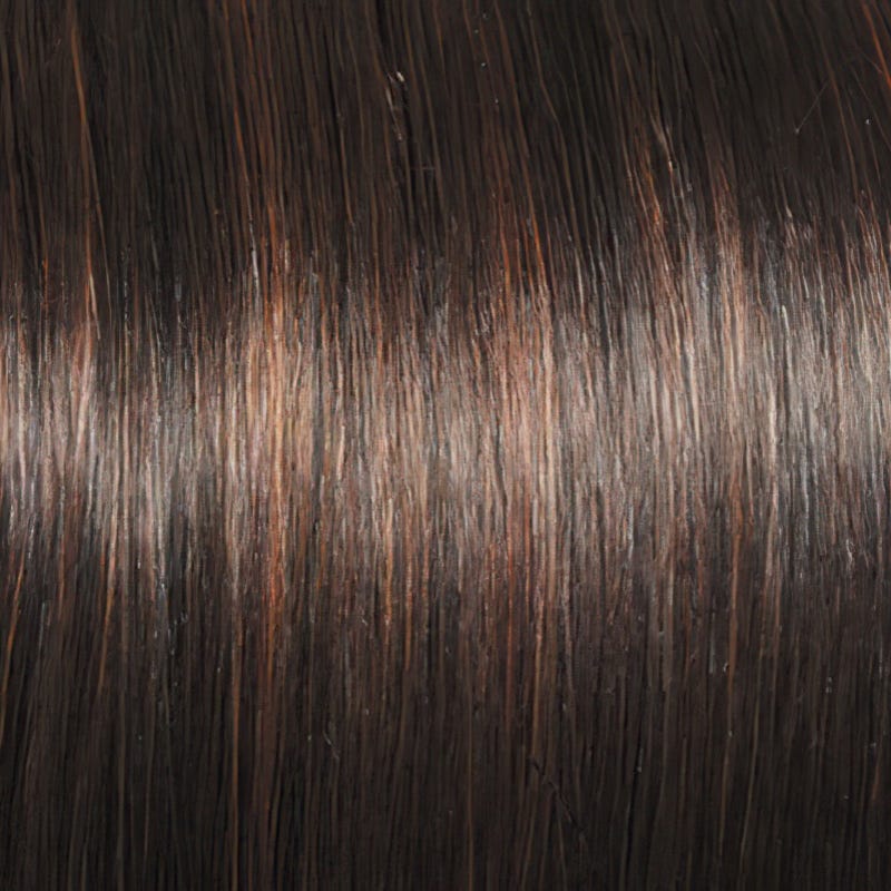 Eva Gabor Wig Color Dark Chocolate Mist