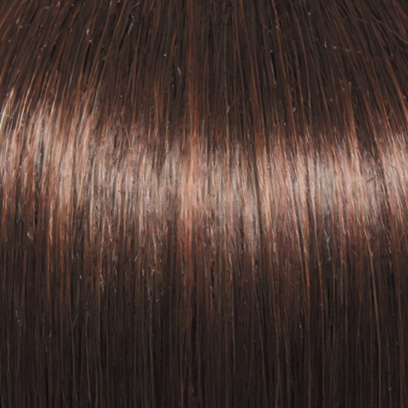 Eva Gabor Wig Color Dark Chocolate Mist