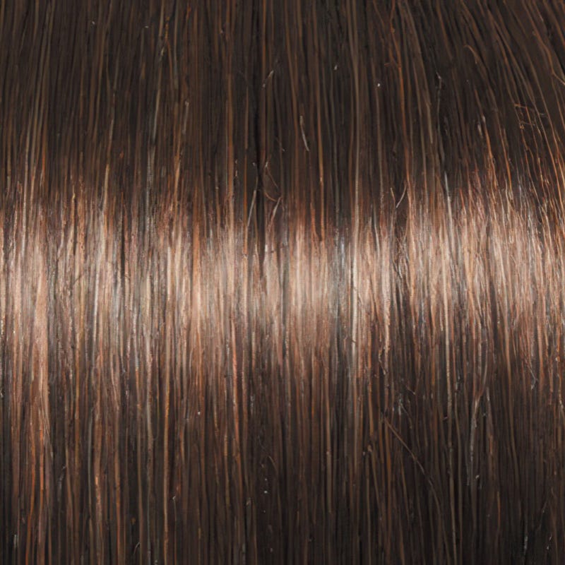 Eva Gabor Wig Color Dark Chocolate Mist