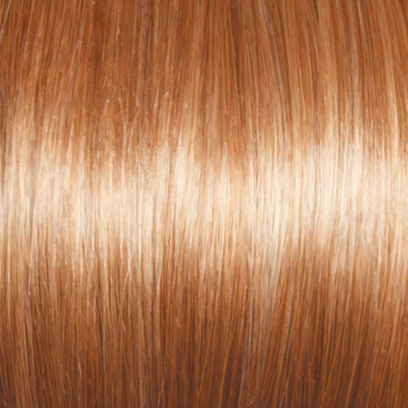 Eva Gabor Wig Color Dark Chocolate Mist