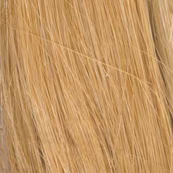 Eva Gabor Wig Color Dark Chocolate Mist