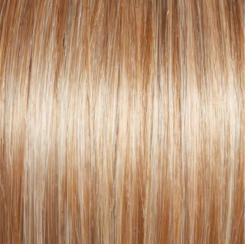 Eva Gabor Wig Color Dark Chocolate Mist