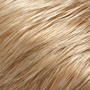 Eva Gabor Wig Color Dark Chocolate Mist
