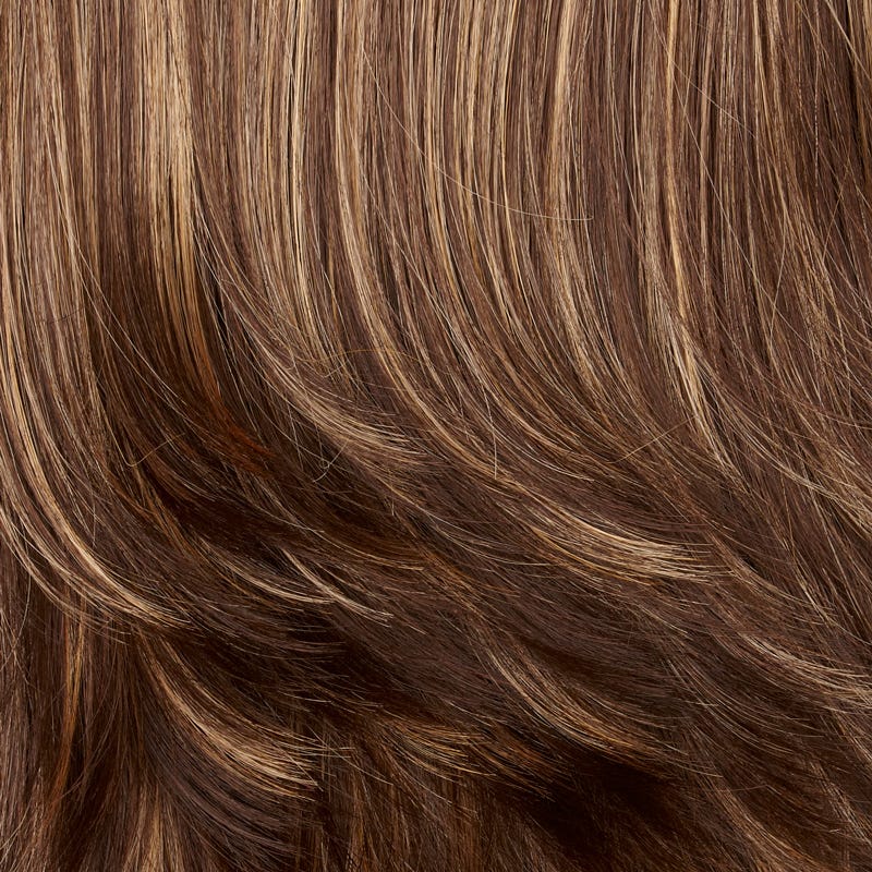 Eva Gabor Wig Color Dark Chocolate Mist