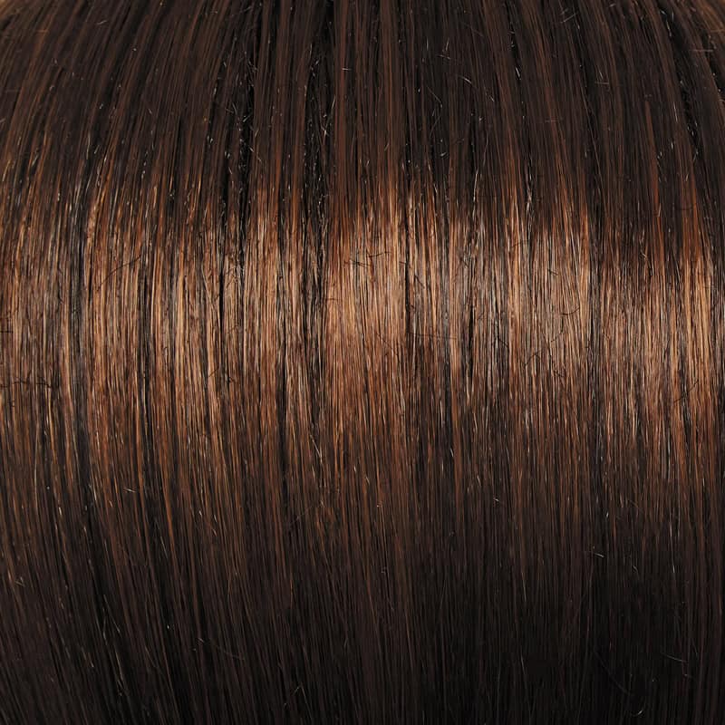 Eva Gabor Wig Color Dark Chocolate Mist