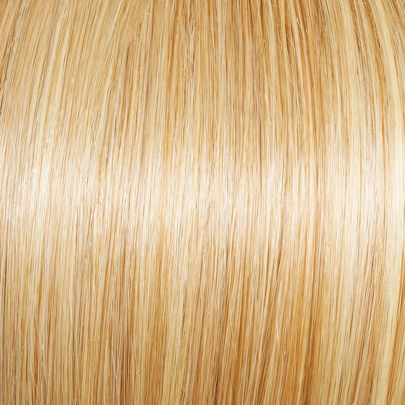 Eva Gabor Wig Color Dark Chocolate Mist