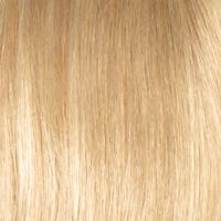 Eva Gabor Wig Color Dark Chocolate Mist