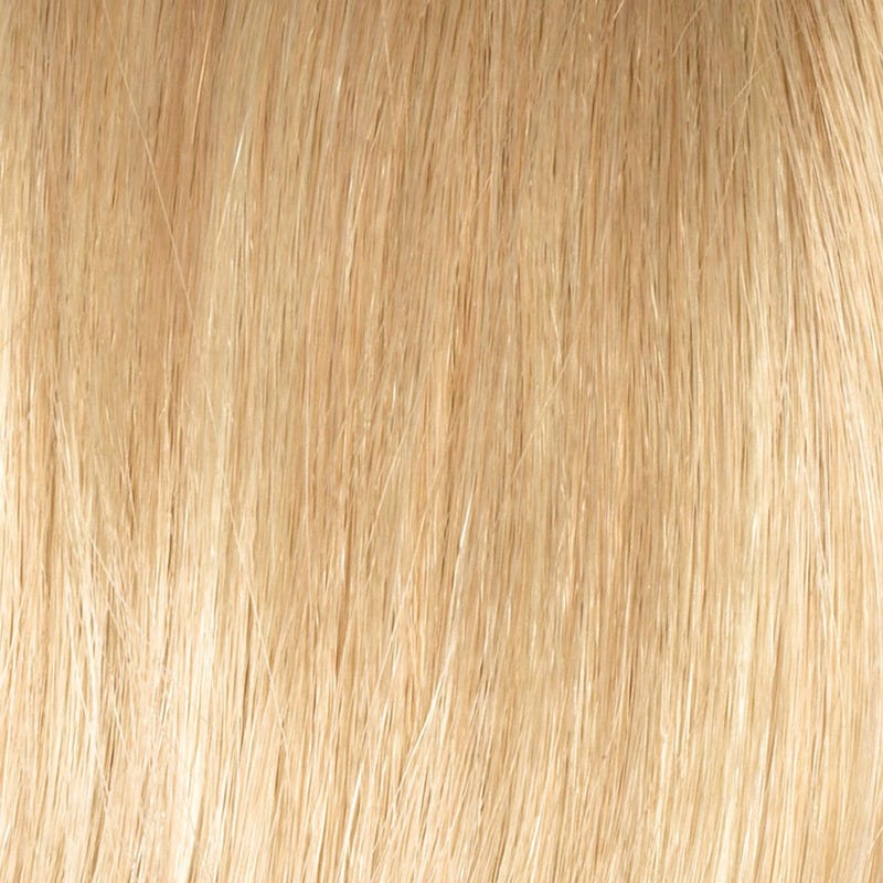 Eva Gabor Wig Color Dark Chocolate Mist