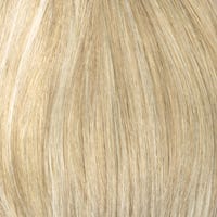 Eva Gabor Wig Color Dark Chocolate Mist