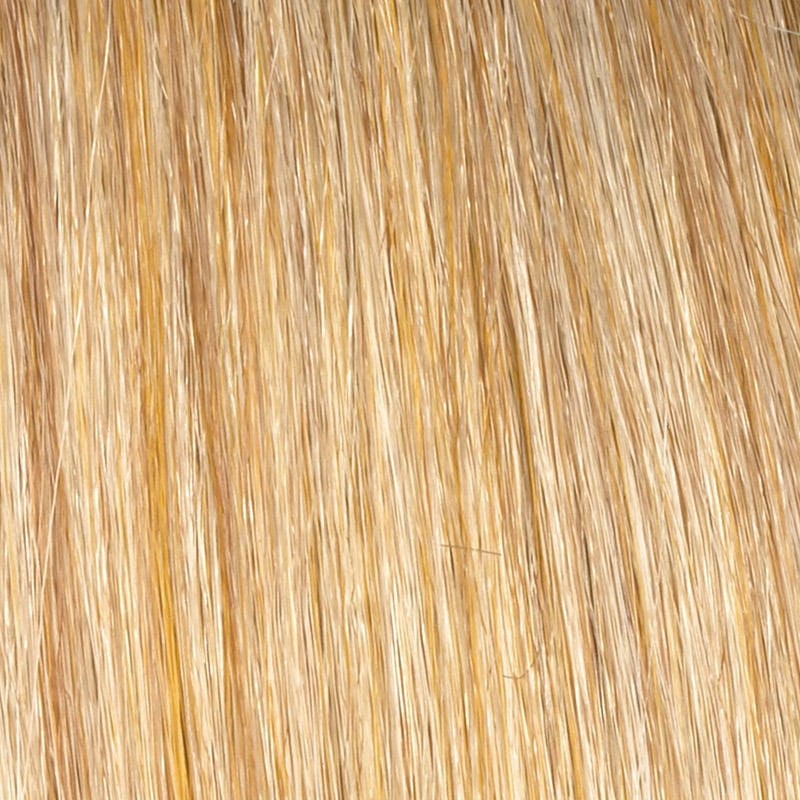 Eva Gabor Wig Color Dark Chocolate Mist