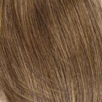 Eva Gabor Wig Color Dark Chocolate Mist