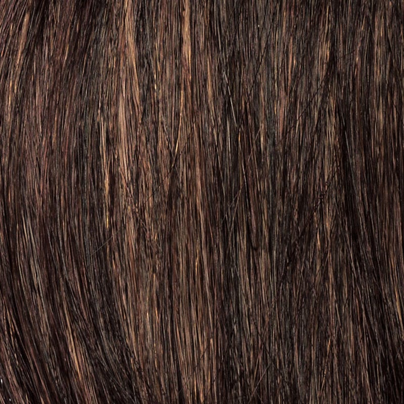 Eva Gabor Wig Color Dark Chocolate Mist