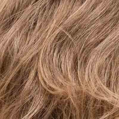Eva Gabor Wig Color Dark Chocolate Mist
