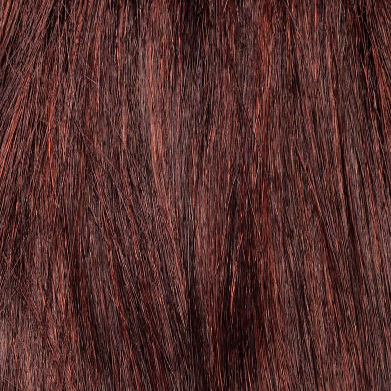 Eva Gabor Wig Color Dark Chocolate Mist