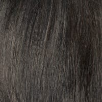 Eva Gabor Wig Color Dark Chocolate Mist