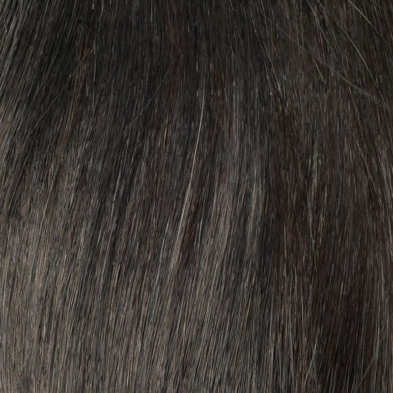 Eva Gabor Wig Color Dark Chocolate Mist