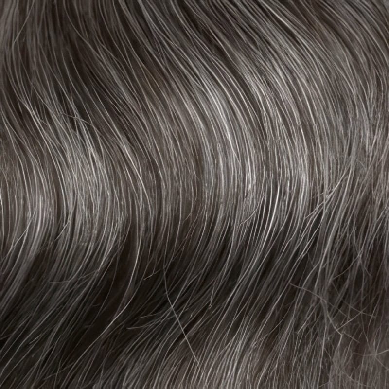 Eva Gabor Wig Color Dark Chocolate Mist